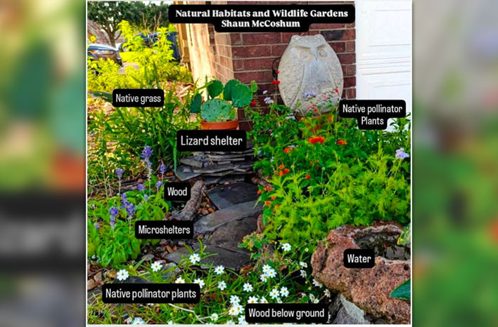 Wildlife shelters