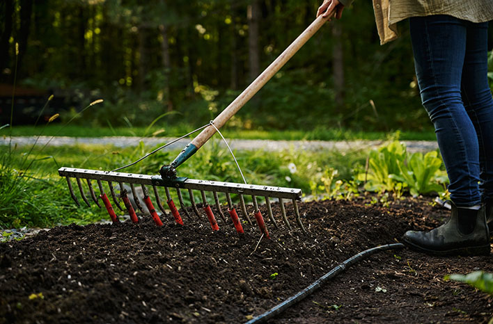 A bed preparation rake is like a regular rake but wider, with narrower tines. JM uses 30-inch beds, so using a 30-inch bed preparation rake helps him maintain the desired size for each bed. And with one pass of the rake, the bed is cleared of debris. 